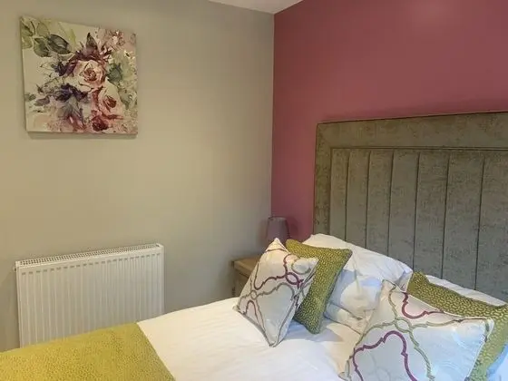 Birch Lodge 20 With Hot Tub, Newton Stewart - Oda