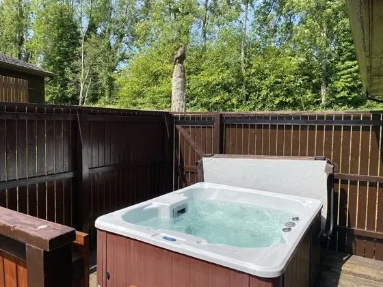 Birch Lodge 21 With Hot Tub, Newton Stewart - Spa