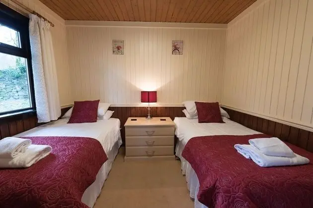Birch Lodge 23 With Hot Tub, Newton Stewart - Oda