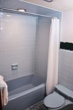 Birchwood Inn - Banyo Tipleri