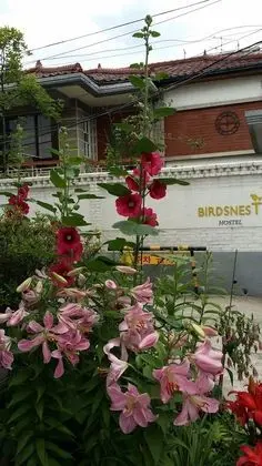Birdsnest Hostel Hongdae