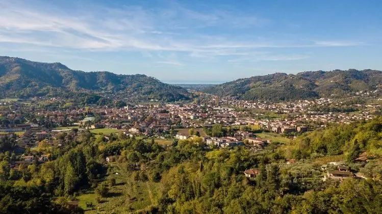 Villa Birdsong Among the Woods in Camaiore - Oda