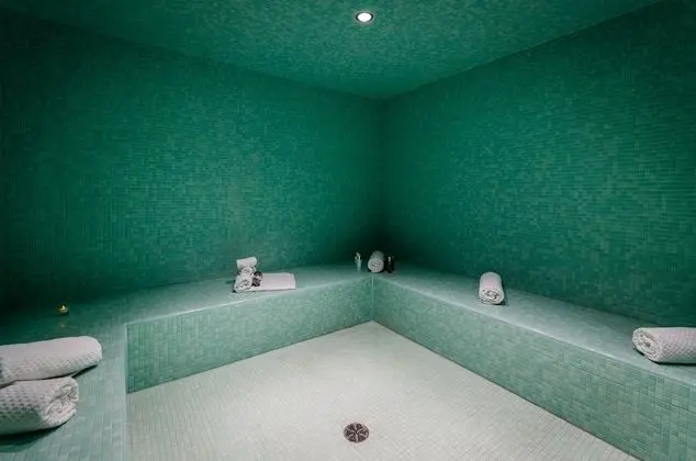 Hotel Birks Montreal - Havuz
