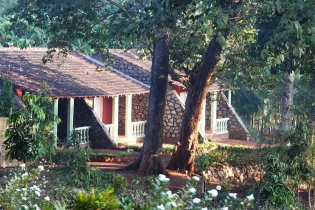 Bison River Resort