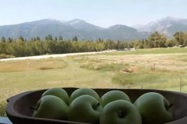 Bitterroot River B&B - Dış Mekan