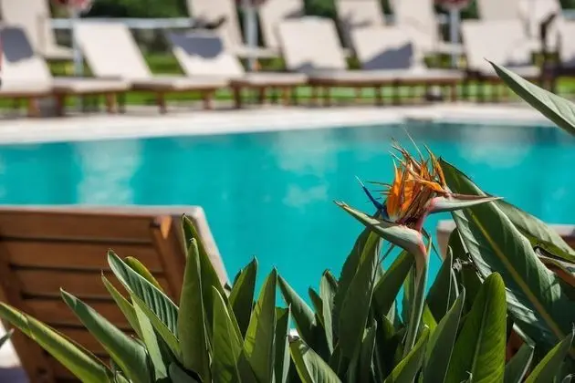 Bitzaro Grande Hotel - All Inclusive - Havuz