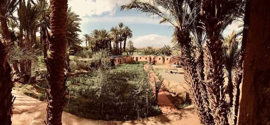 Bivouac Lot Of Stars