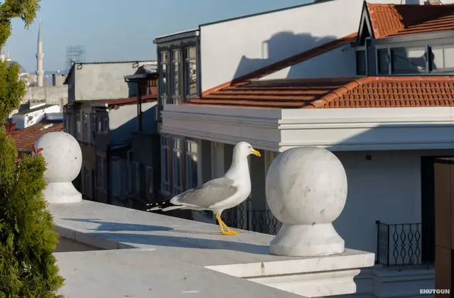 Bizim Otel