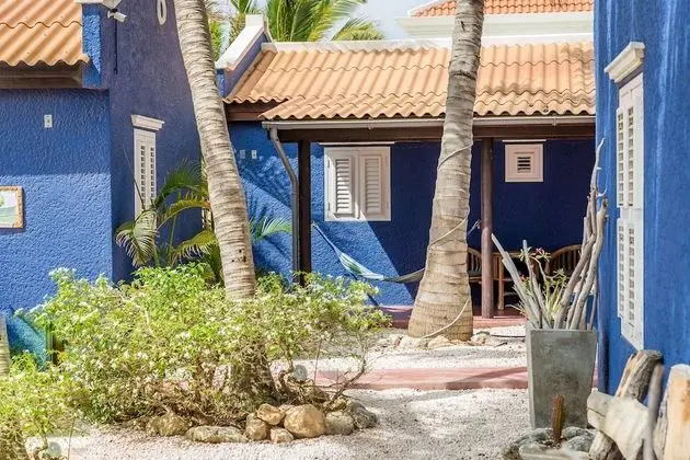 Blachi Koko Apartments Bonaire - Dış Mekan
