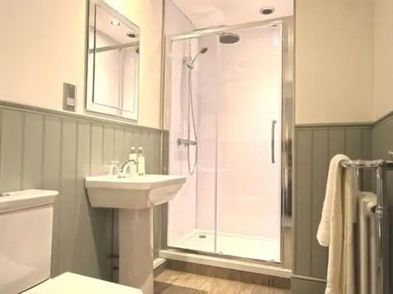 The Black Bull Inn - Banyo Tipleri
