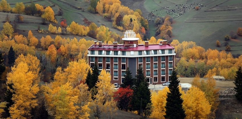 Black Forest HotelFotoğrafı