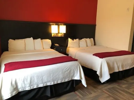 Black Gold Suites Tioga