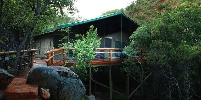 Black Leopard Camp