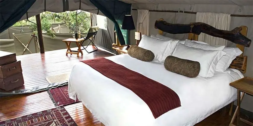 Black Leopard Camp - Öne Çıkan Resim
