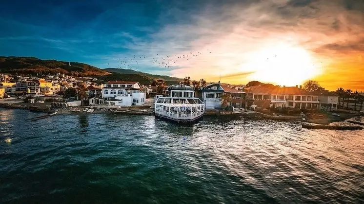 Black Lotus İzmir - Genel
