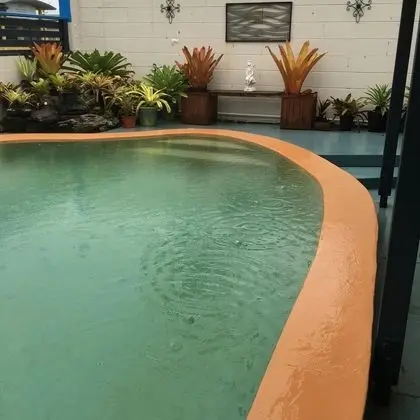 Black Marlin Motel - Havuz