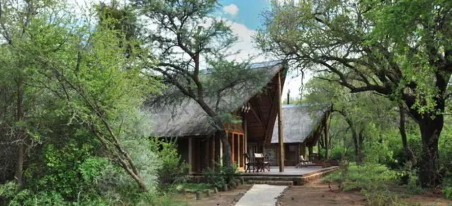 Black Rhino Game Lodge - 1