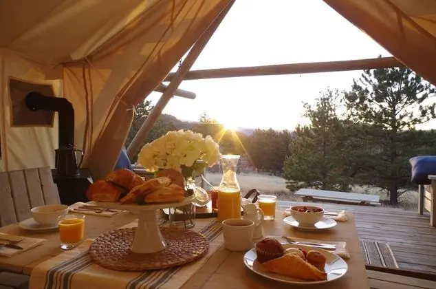 Black Tree Resort - Oda Düzeni