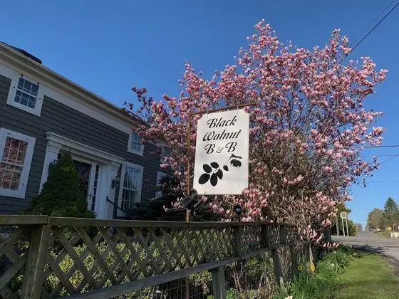 Black Walnut Bed and Breakfast - Dış Mekan