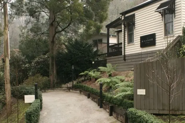The Blackwood - 1