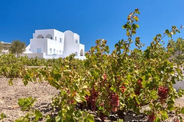 Blanca Luxury Villa - Dış Mekan