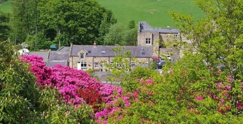 Blenkinsopp Castle Inn - Genel