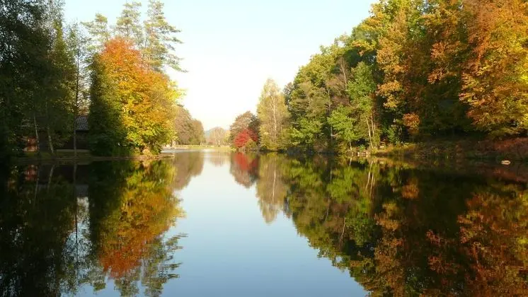 Blick zum Maimont - Genel