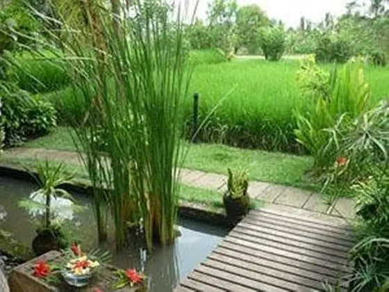 Bliss Bungalow - Dış Mekan
