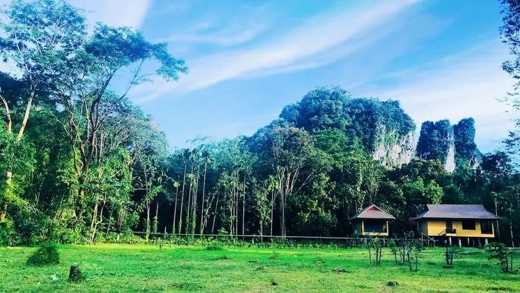 The Bliss Khao Sok Boutique Lodge - Dış Mekan