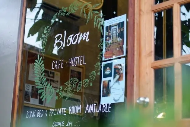 Bloom Cafe & Hostel Lipe - Lobi