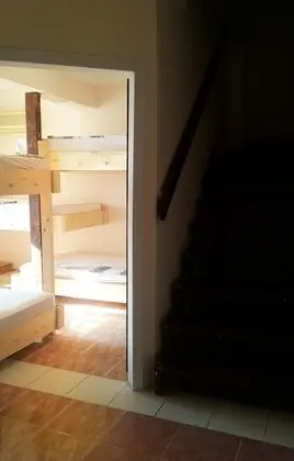 Bloom Suite