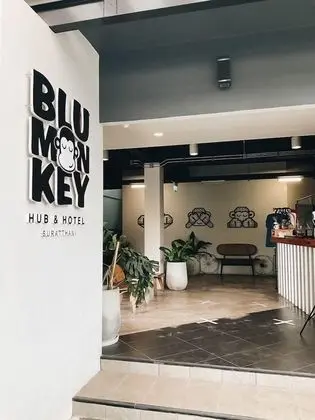 Blu Monkey Hub and Hotel Suratthani - Lobi