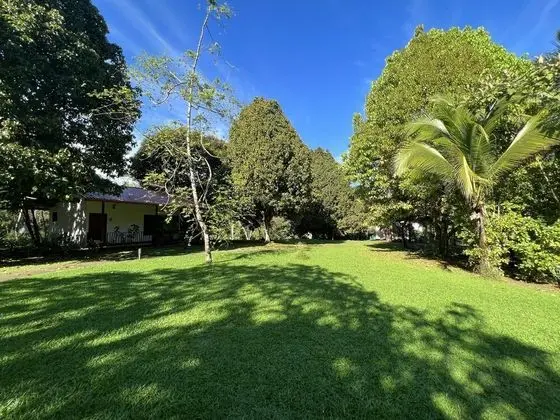 Blue Banyan Inn - Dış Mekan
