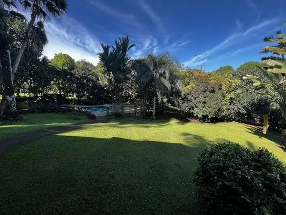 Blue Banyan Inn - Dış Mekan