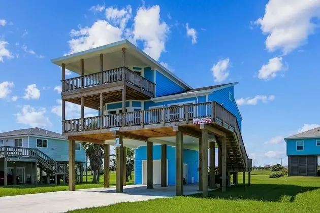 Blue Dolphin