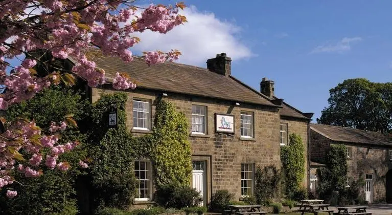 The Blue Lion