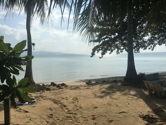 Blue Lotus Resort - Plaj