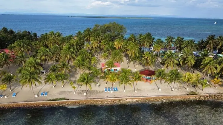 Blue Marlin Beach Resort - 1