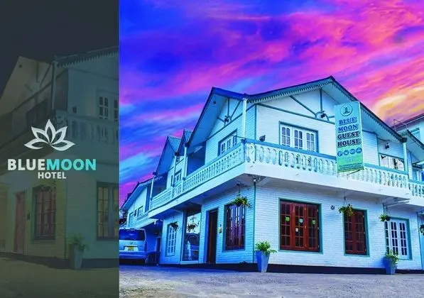 Blue moon guest house