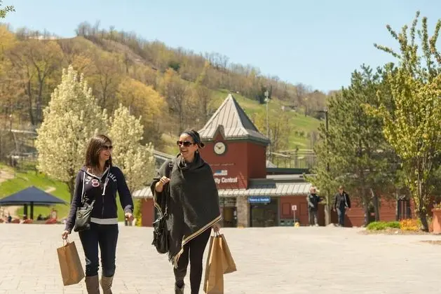 Blue Mountain Resort Home Collection - Dış Mekan