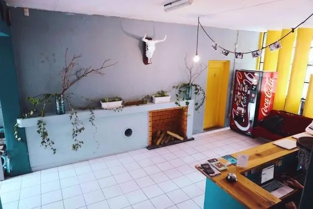Blue Pepper Hostel & Bar - Lobi