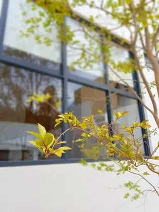Blue Pepper Premium Rooms - Dış Mekan