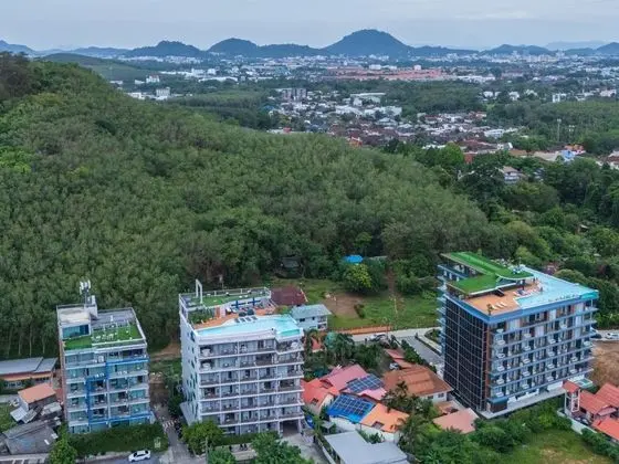 THE BLUE HOTEL