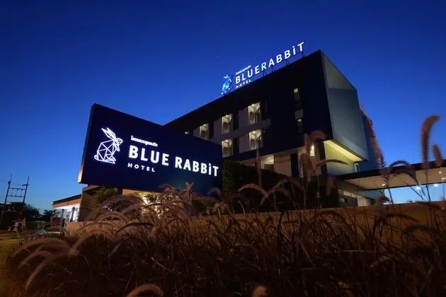 Blue Rabbit Hotel - Dış Mekan