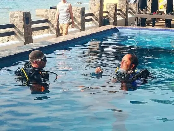 Blue Ribbon Dive Resort - Havuz