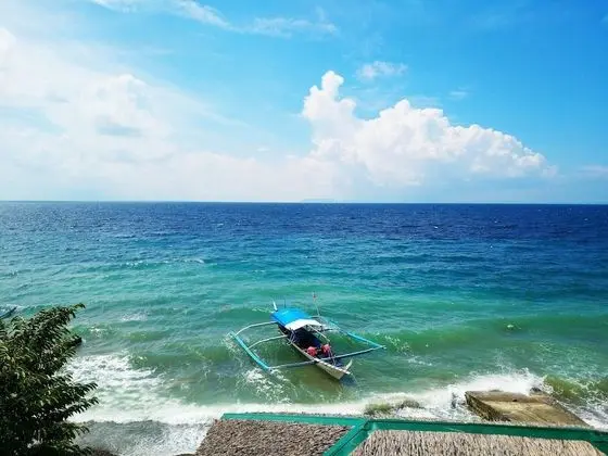 Blue Ribbon Dive Resort - Plaj