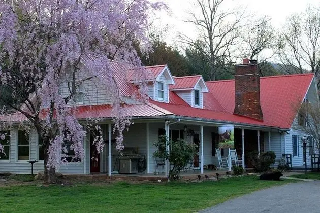 Blue Ridge Manor Bed and Breakfast - 1