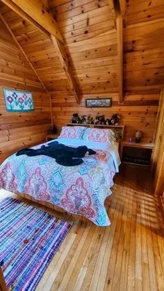 Blue Ridge Parkway Cabin Rentals - Oda