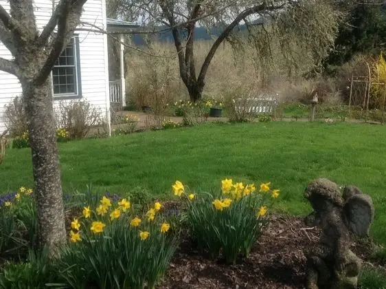 Blue Rooster Inn