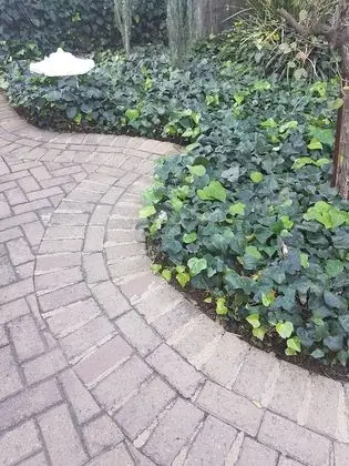 Blue Sparrow Guest House - Dış Mekan